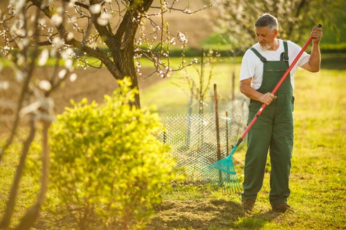 Hedge trimming and lawn care service